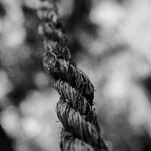 Photo #11955347