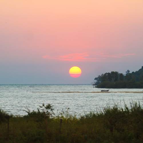 Photo #11955402