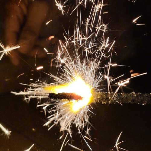 Photo #11955465