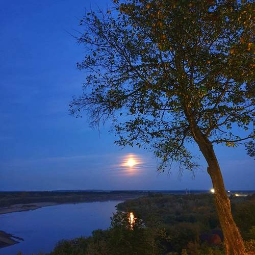 Photo #11955533