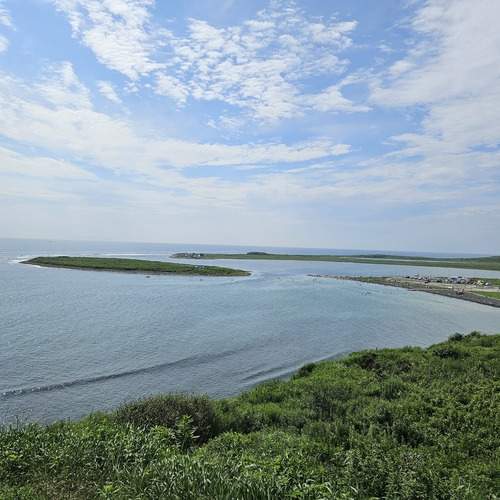 Photo #11955585