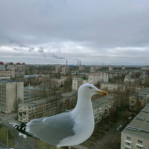 Наша Глаша