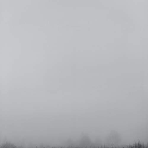 Photo #11955712