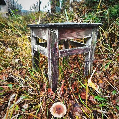 Photo #11955715