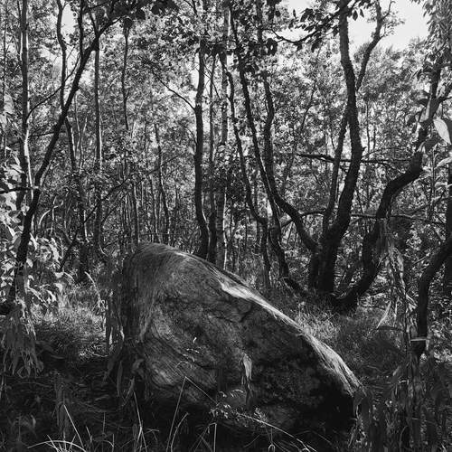 Photo #11955719