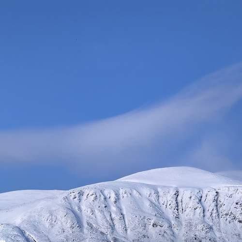 Photo #11955745