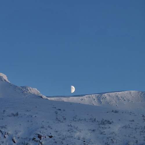 Photo #11955747