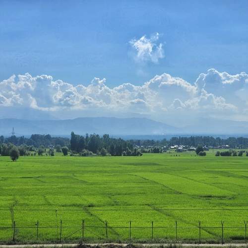 Nature Landscape