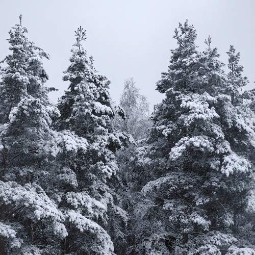 Photo #11955757