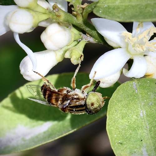 Photo #11955855