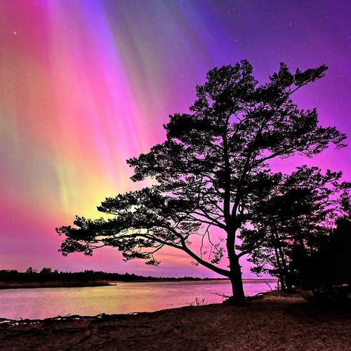 Photo #11956020