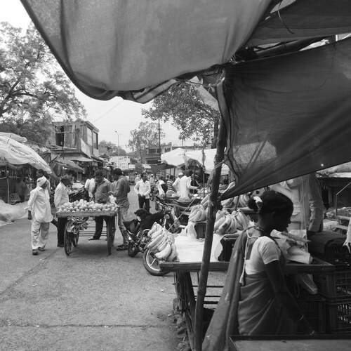 Photo #11956066
