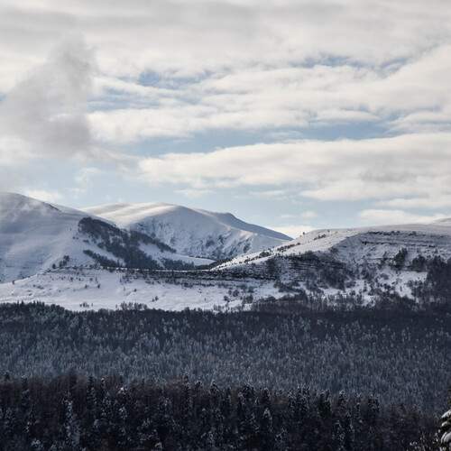 Photo #11956102