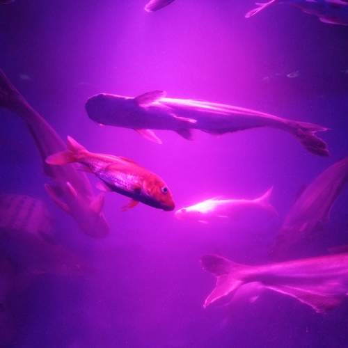 Photo #11956134