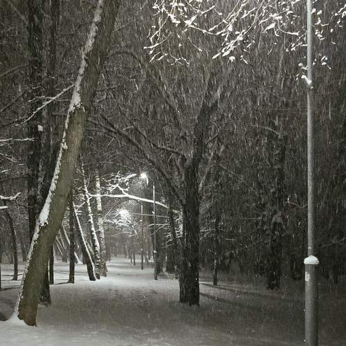 Photo #11956212