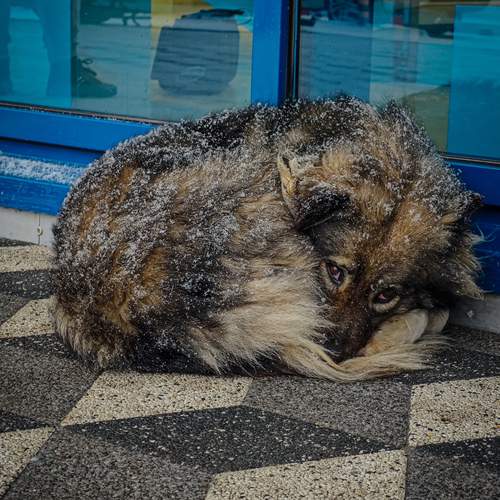 Photo #11956290
