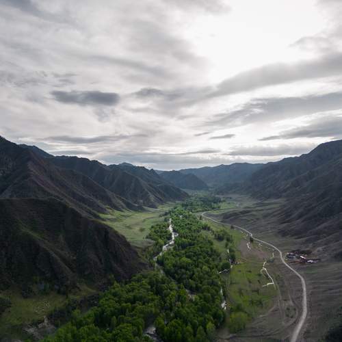 Photo #11956346