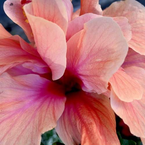 Photo #11956347