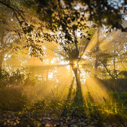 Photo #11956399
