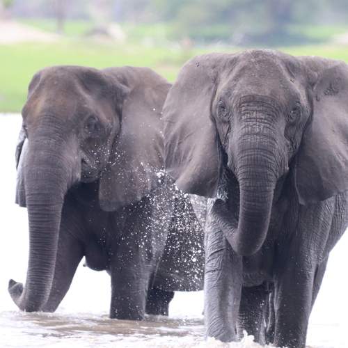 Photo #11956449