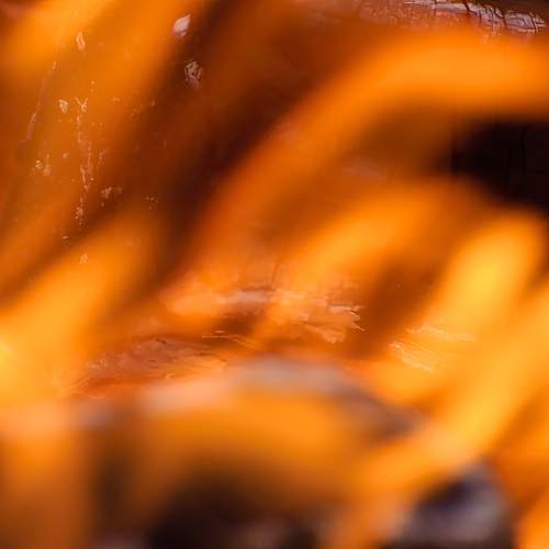 Photo #11956464