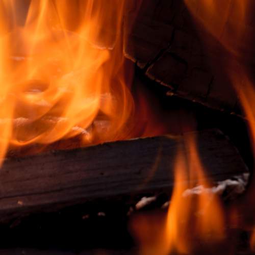 Photo #11956469