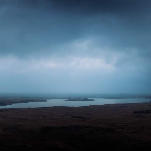 Photo #11956515
