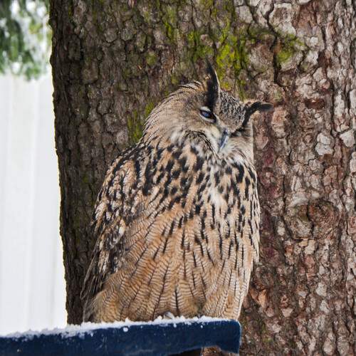 Photo #11956523