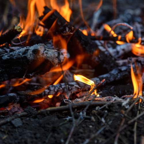 Photo #11956583