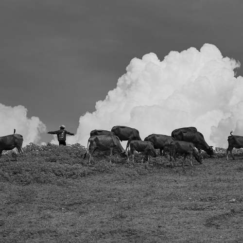 Photo #11956649