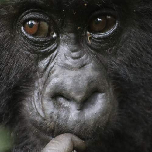Photo #11956651