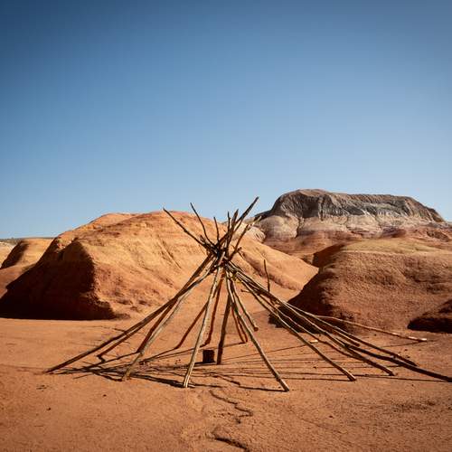 Photo #11956675