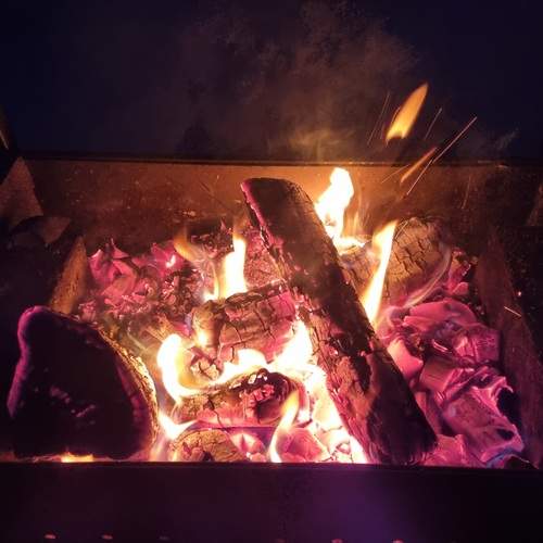 Photo #11956750