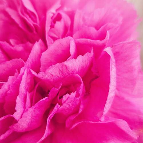 Photo #11956780