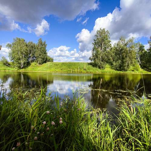 Photo #11956785