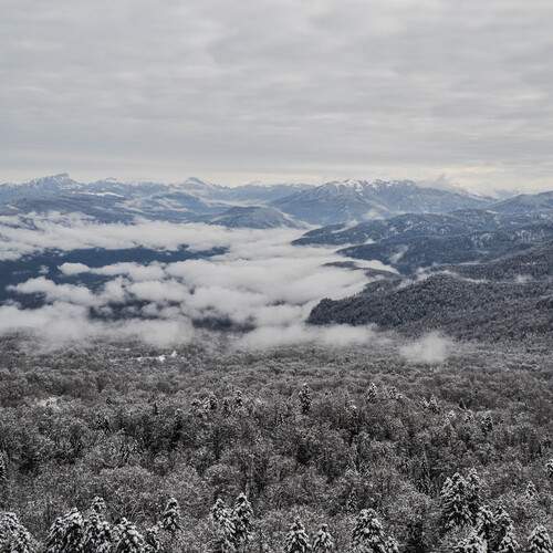 Photo #11956971