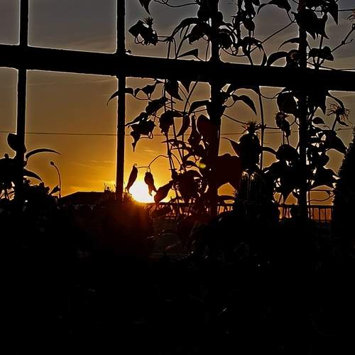 Photo #11957016