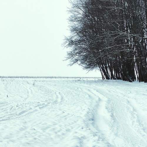 Зимний день. Февраль.