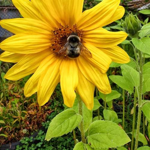 Photo #11957429