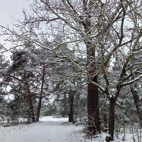 Photo #11957511