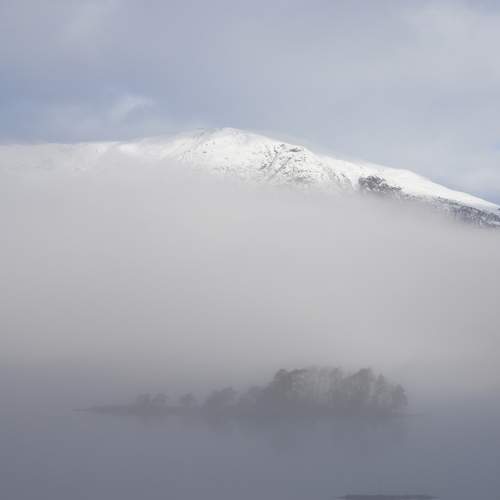 Photo #11957528