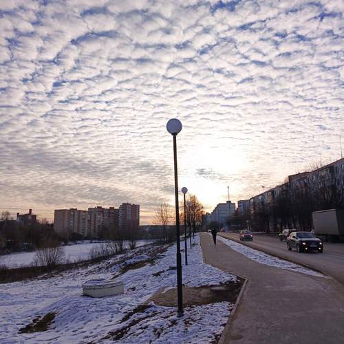 Photo #11957614