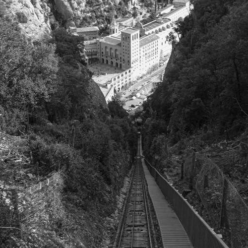 Photo #11957643
