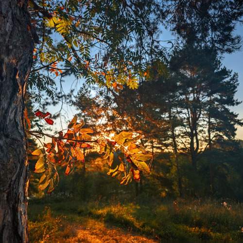 Photo #11957667