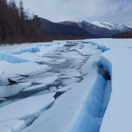 Photo #11957678