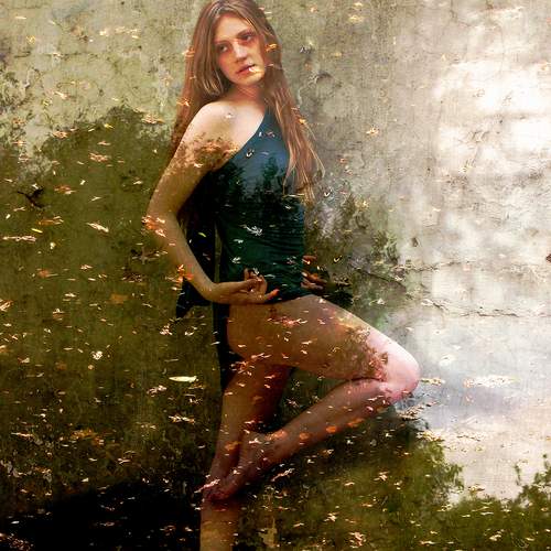 Photo #11957721