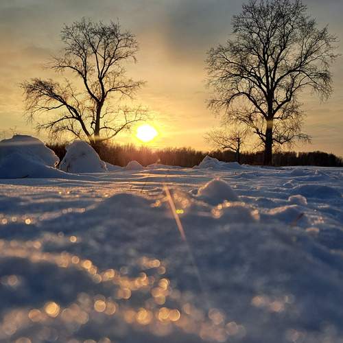 Photo #11957775