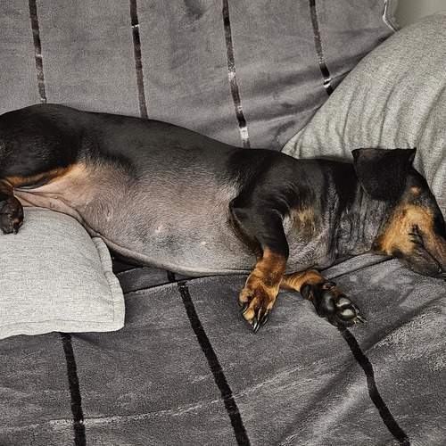 Photo #11957789
