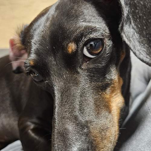 Photo #11957791