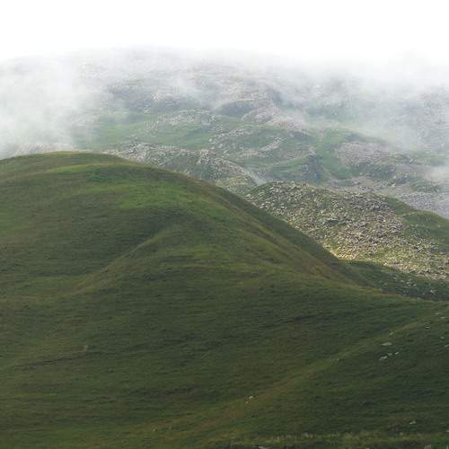 Photo #11958260